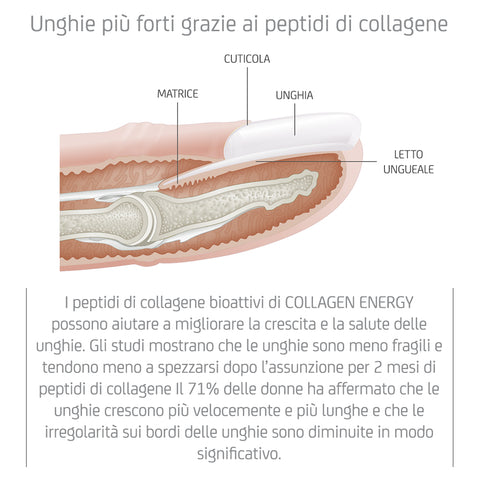 COLLAGEN ENERGY