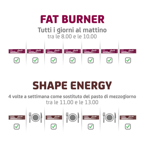 FAT BURNER TEST SET